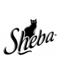 Sheba Sheba