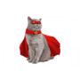 Collar SuperCat