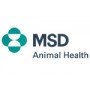 MSD