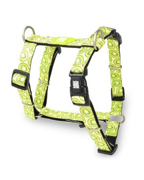 Max & Molly H-Harness Kiwi Шлея, малюнок "Ківі"