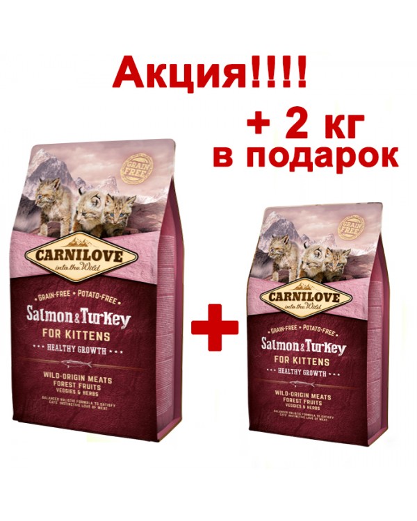 Carnilove Cat Salmon & Turkey Kitten 6 кг + 2 кг