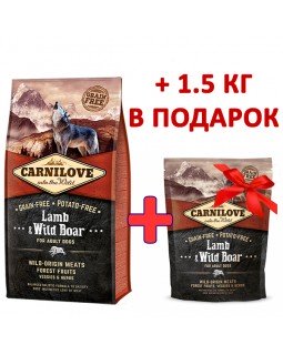 Carnilove Adult Lamb & Wild Boar 12 кг + 1.5 кг