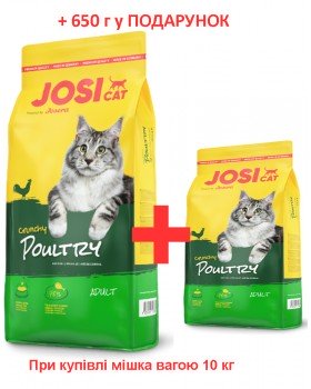 Josera JosiСat Crunchy Poultry для котів з домашньою птицею 10 кг + 650 г Josera JosiСat Crunchy Poultry для котів з домашньою птицею 10 кг + 650 г