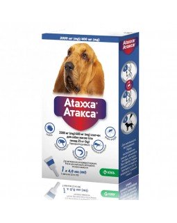 Ataxxa Spot-On краплі на холку від бліх та кліщів для собак вагою більше 25 кг