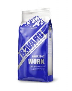 Bavaro Work 26/12 Bavaro Work 26/12