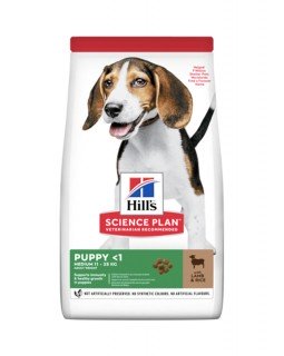 Hill's Science Plan Healthy Development корм для цуценят середніх порід з ягням і рисом Hill's Science Plan Healthy Development корм для цуценят середніх порід з ягням і рисом