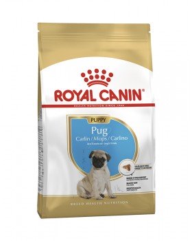 Royal Canin Pug Puppy ( для цуценят мопса)