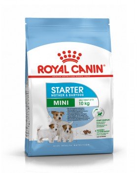 Royal Canin Mini Starter Royal Canin Mini Starter