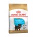 Royal Canin Yorkshire Junior (Puppy)