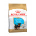 Royal Canin Yorkshire Junior (Puppy)