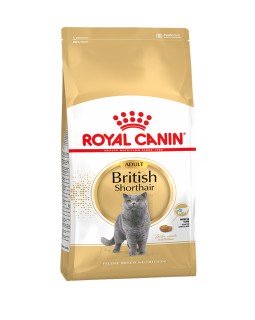 Royal Canin British Shorthair Adult