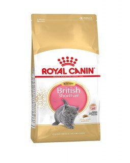 Royal Canin Kitten British Shorthair