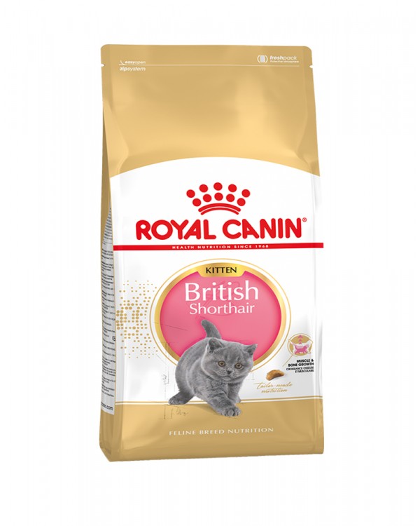 Royal Canin Kitten British Shorthair
