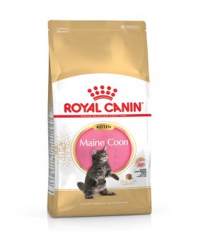 Royal Canin Maine Coon Kitten