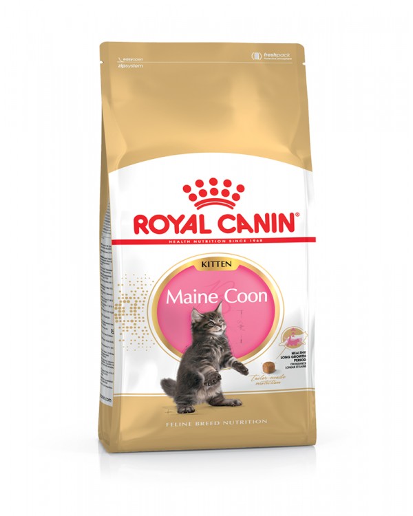 Royal Canin Maine Coon Kitten