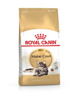 Royal Canin Maine Coon Adult