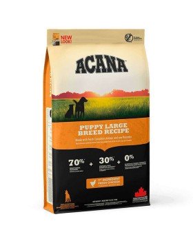Acana Puppy Large Breed
