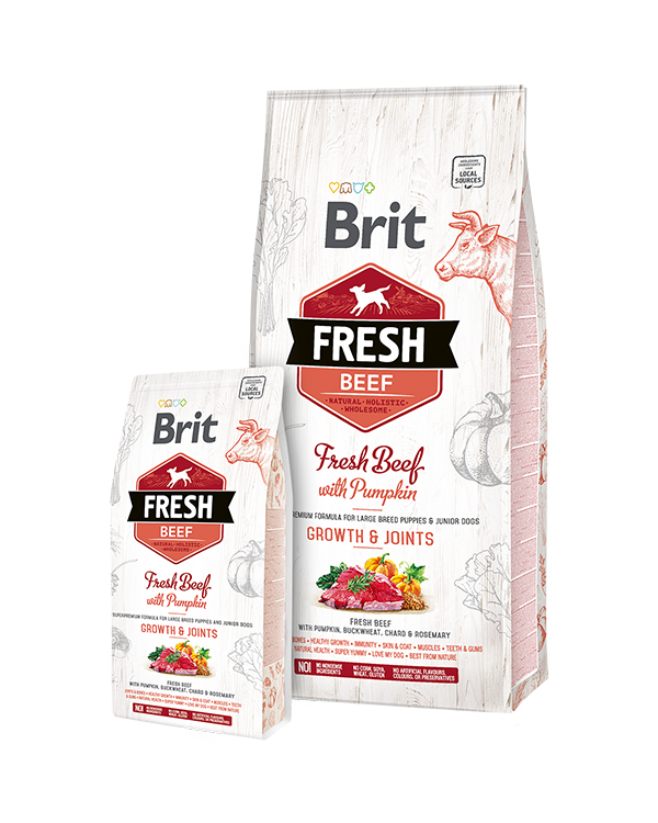 Brit Fresh Beef with Pumpkin Puppy Large Bones & Joints