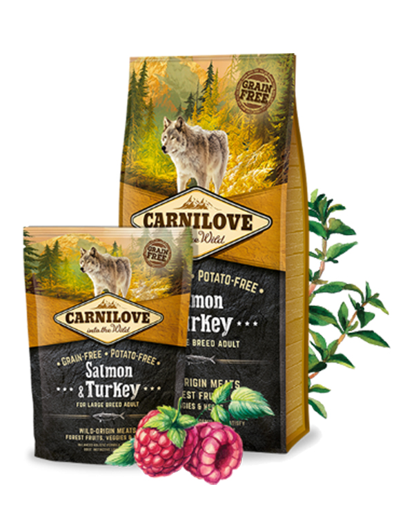 Carnilove Adult Large Breed Salmon & Turkey для дорослих собак великих порід з лососем та індичкою