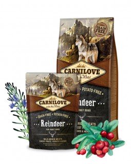 Carnilove Adult Raindeer для дорослих собак всіх порід з олениною