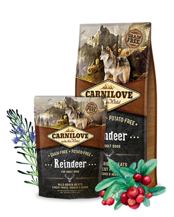 Carnilove Adult Raindeer для дорослих собак всіх порід з олениною