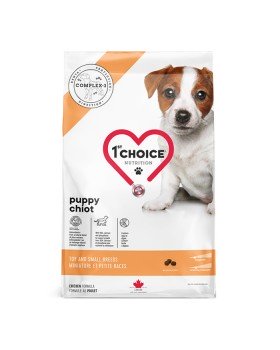 1st Choice Puppy Toy&Small Chicken 1st Choice Puppy Toy&Small Chicken