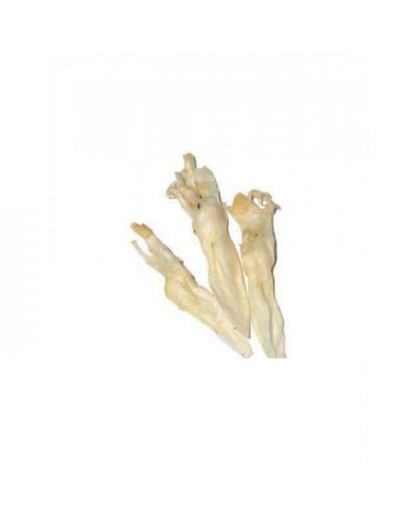 Ласощі для собак Вухо кроля кальціноване Ласощі для собак Вухо кроля кальціноване