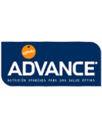 Advance Advance