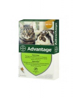 Bayer Advantage для кішок( до 4 кг.)