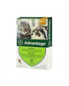 Bayer Advantage для кішок( до 4 кг.) Bayer Advantage для кішок( до 4 кг.)