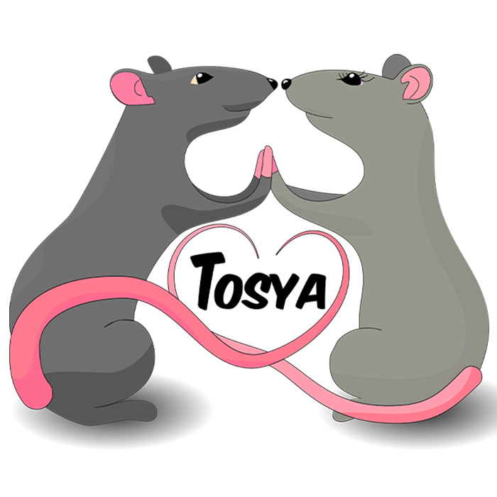 Tosya